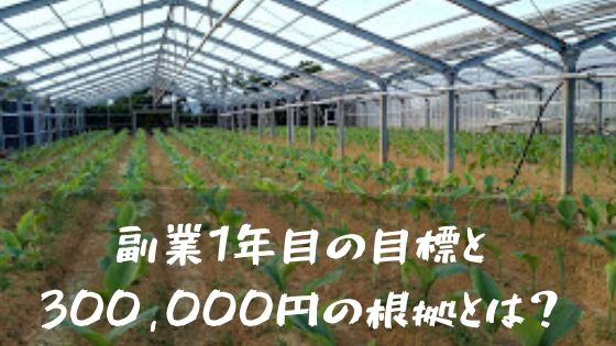 ウコンで農業副業1年目の目標と円の根拠を解説ウコン モリンガ農業副業で脱サラ サラリーマン 公務員のためのハルサーブログ