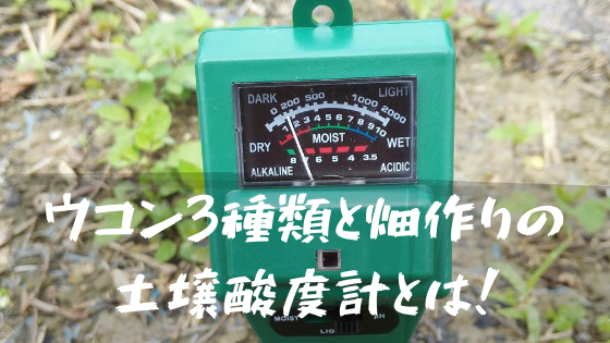 ウコンの種類と土壌酸度計とは ウコン モリンガ農業副業で脱サラ サラリーマン 公務員のためのハルサーブログ