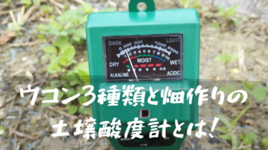 ウコン３種類の特徴と畑づくりの土壌酸度計とは！